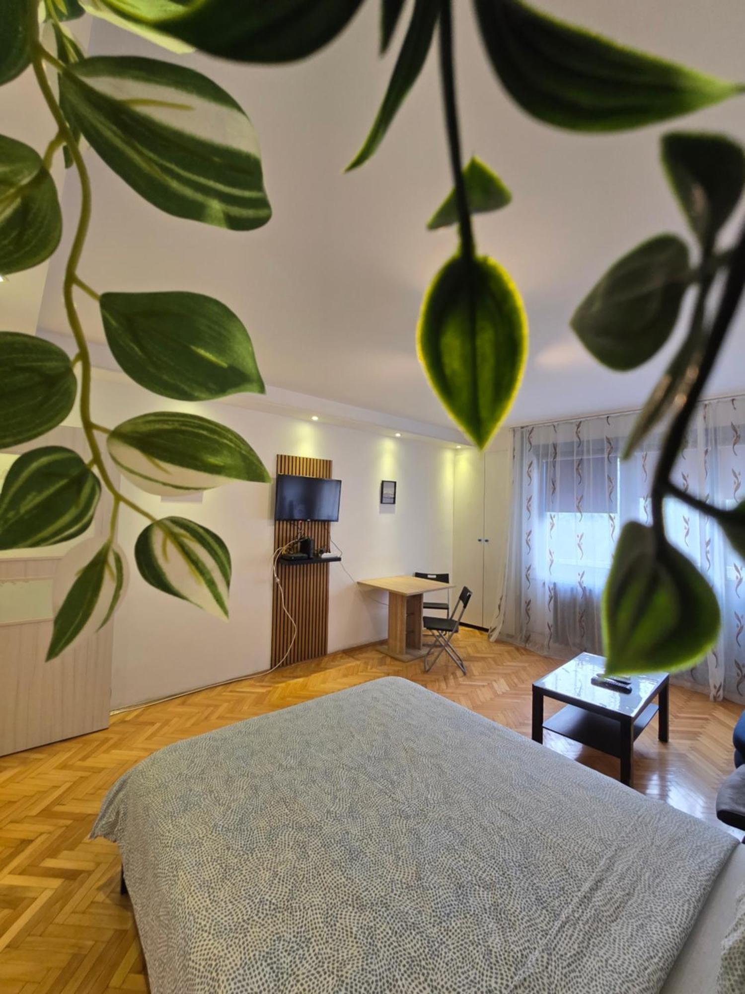 Azzurro Studio Apartment Belgrade Luaran gambar