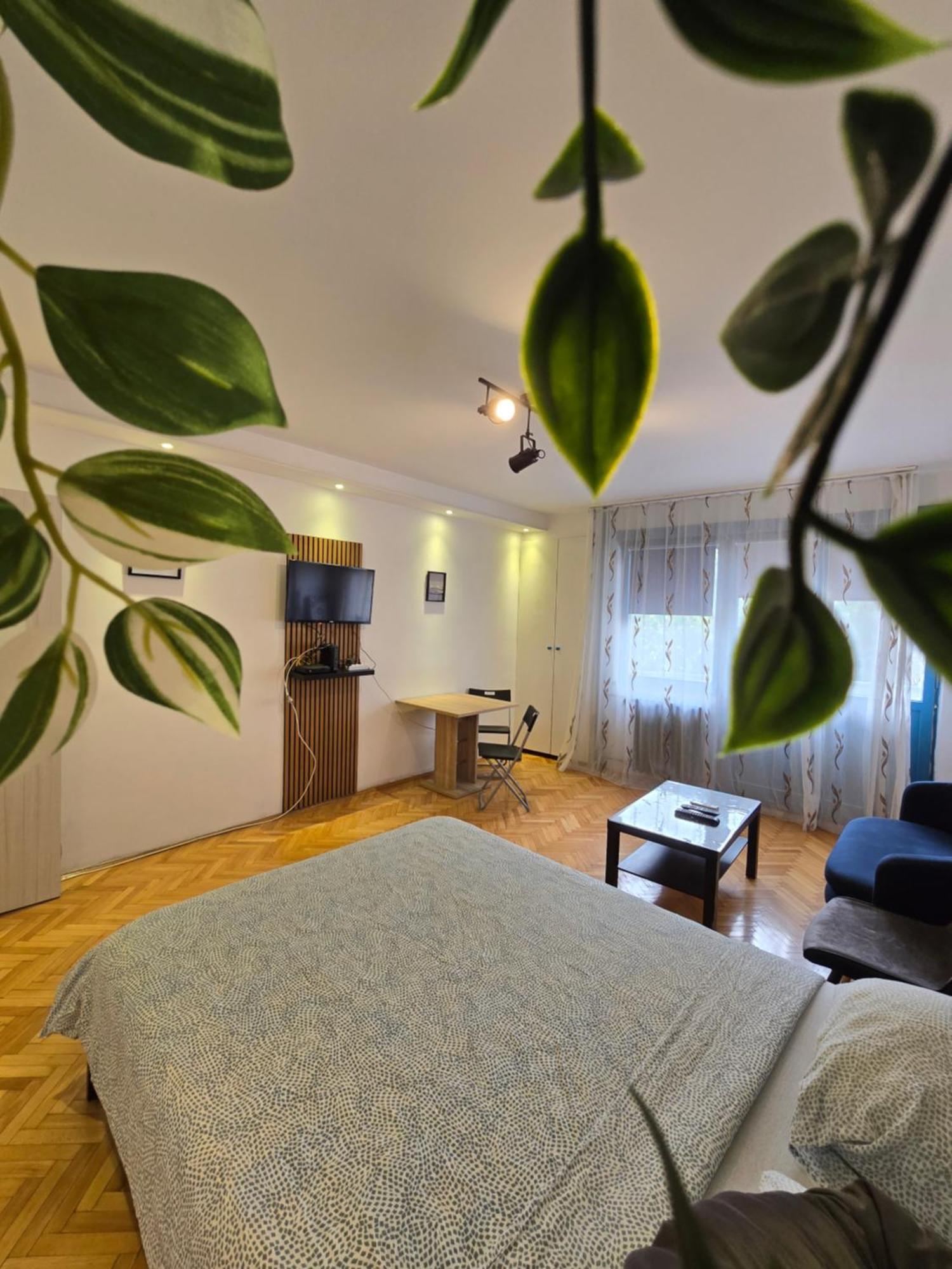 Azzurro Studio Apartment Belgrade Luaran gambar